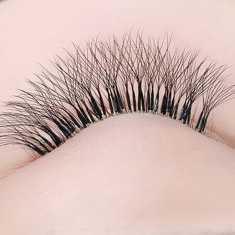 5D W oblik premade volumen pahljani C/D/L/M zavoj